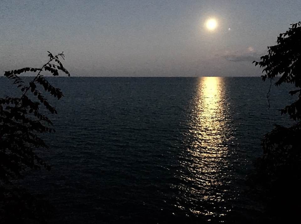 3719 Sheridan - Moonlight