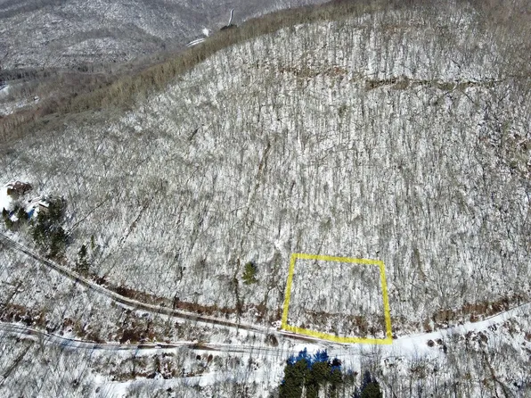 23 Hawthorne Valley Dr, Slatyfork, WV 26291