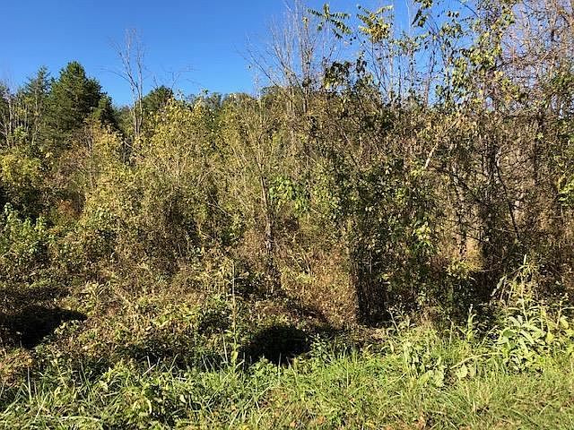 2nd image of LOT 11 Mooresburg Springs Rd