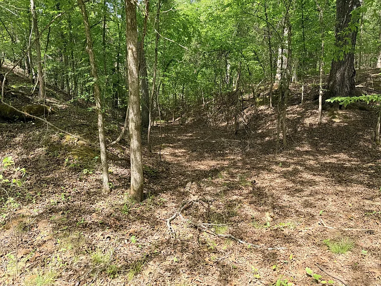 496 Gin Pond Dr — Photo 7