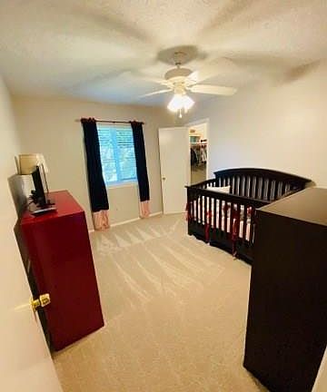 3rd image of 203 Willow Creek Ct