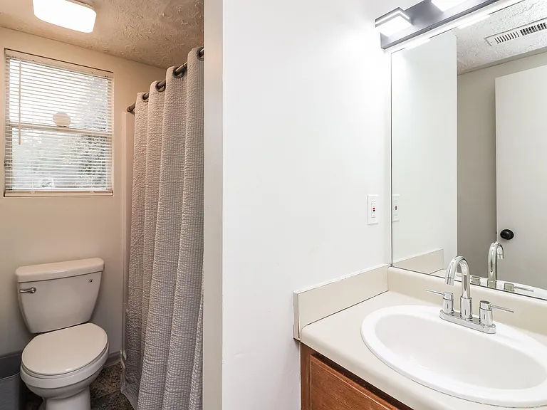 Basement Level Hall Bathroom