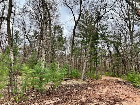 9.52 Acres Gem Drive, Wisconsin Dells, WI 53965