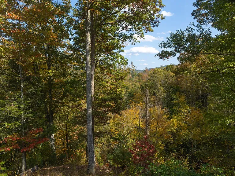 505 Adams Rd — Photo 30