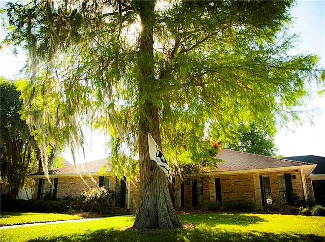 1st image of 2321 Ormond Blvd