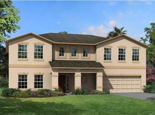 10739 Breaking Rocks Dr, Tampa, FL 33647