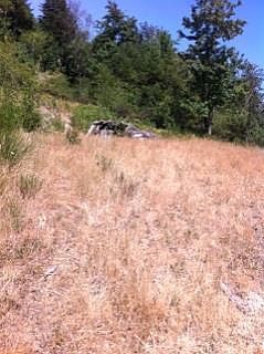 4th image of 491 SE Picadilly Dr