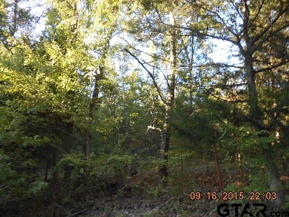 3rd image of County Road 3990