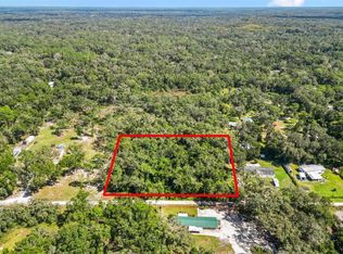 SW 43rd Dr, Webster, FL 33597