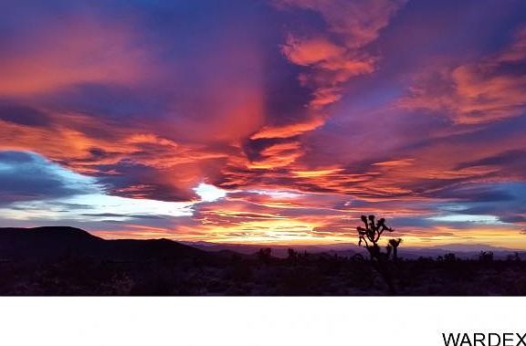 3rd image of 8979 W Indian Peak Dr