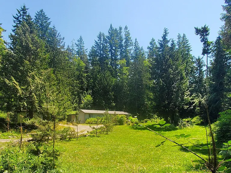 View of house/yard from driveway.