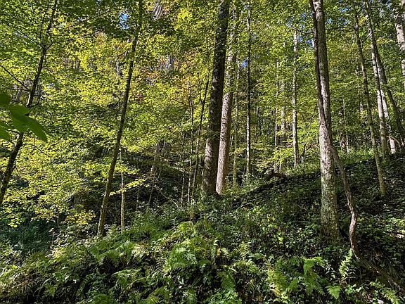 23rd image of this home