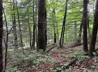 49 Mayapple Dr, Sapphire, NC 28774