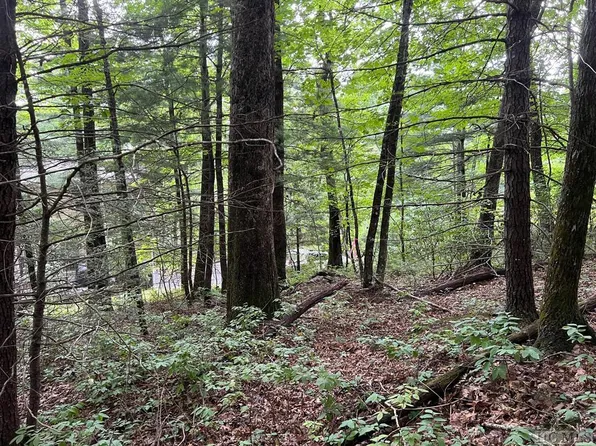 Lot 49 Mayapple Drive, Sapphire, NC 28774