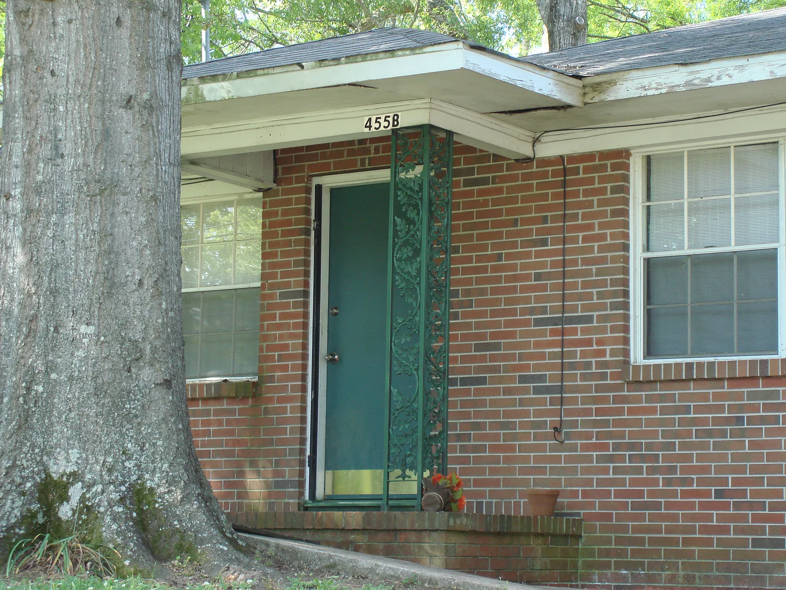 Shelby Street Triplex — Photo 2