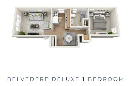 Floor plan Belvedere Renovated 1 Bedroom