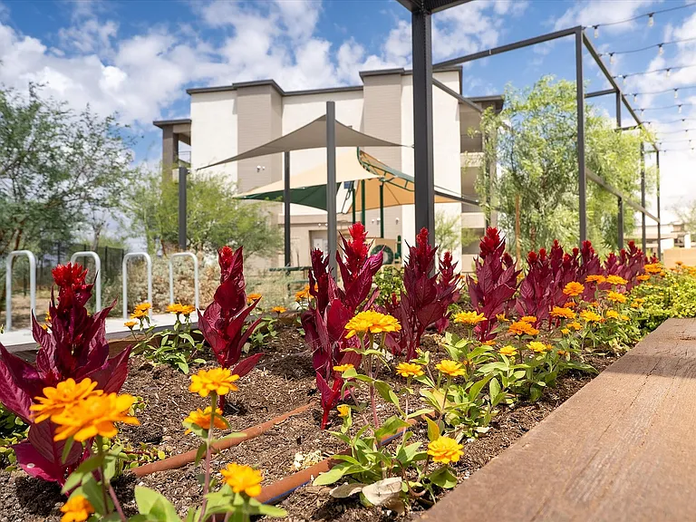 Community Garden