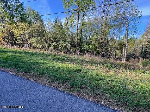 2nd image of Pine Hollow Rd