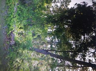 9387 Blackberry Ct, Weeki Wachee, FL 34613