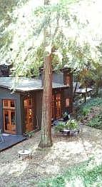 5th image of 284 Montezuma Ave