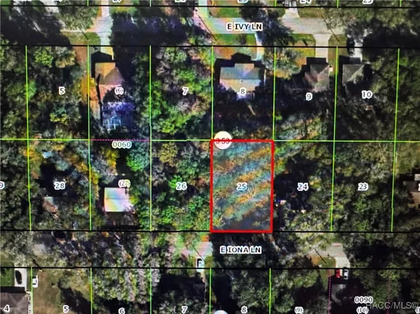 6151 E Iona Ln, Inverness, FL 34452