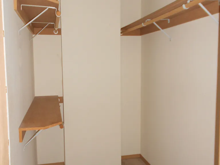 Master walk-in closet