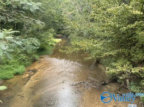 4690 County Road 14, Waterloo, AL 35677