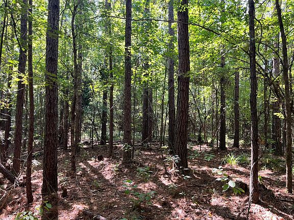 5th image of 0 County Road 7