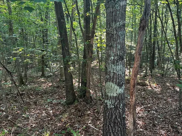 (undisclosed Address), Wilder, TN 38589