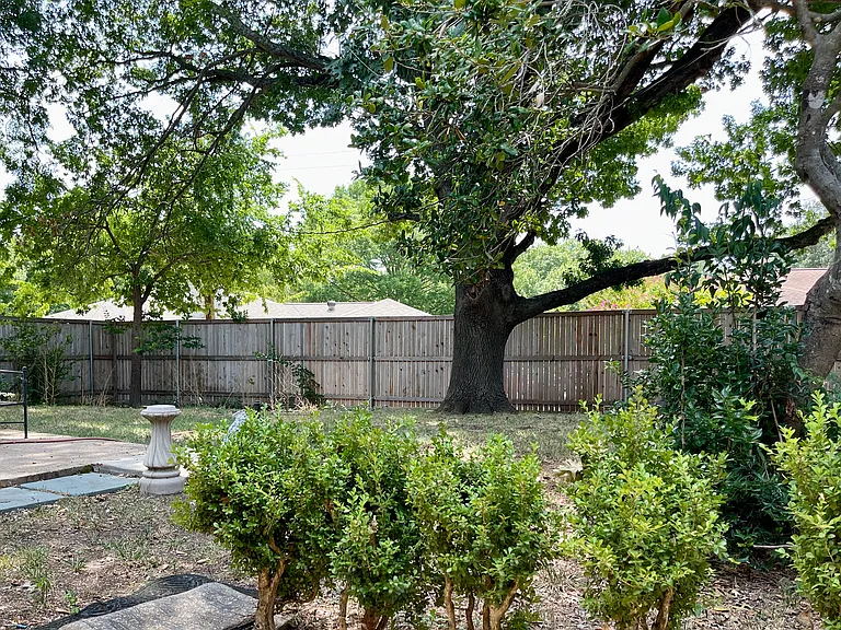 Large Backyard with Recently Updated Fence