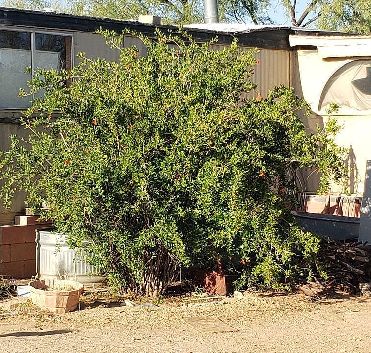 2nd image of S Honeysuckle Farm Trl
