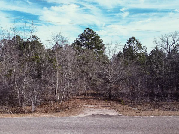 0 Scrub Oak Ct, Ridge Spring, SC 29129