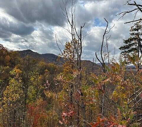 3rd image of 3221 Emerald Springs Loop Lot 6