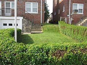 Rear Yard