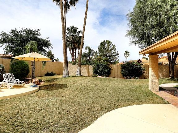 Grass Area