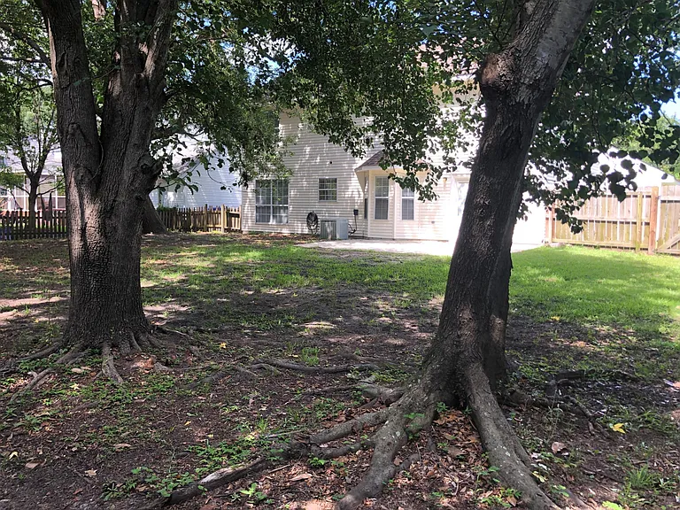 Backyard with mature shade trees