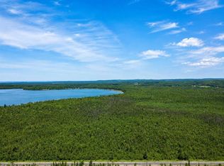 E Van Rd, Pellston, MI 49769
