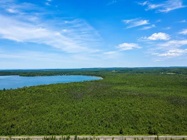 E Van Rd, Pellston, MI 49769