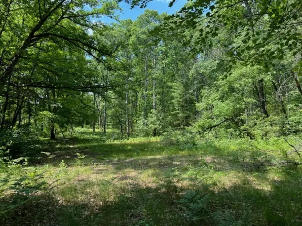 35 Downs Rd, Prudenville, MI 48651