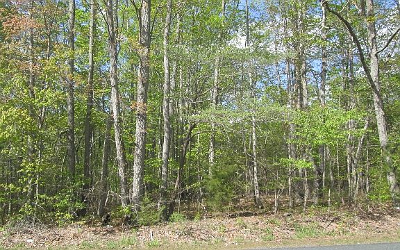 2nd image of Wyatts Way Lot 3