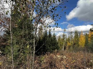 Harry Peterson Rd, Foster City, MI 49834