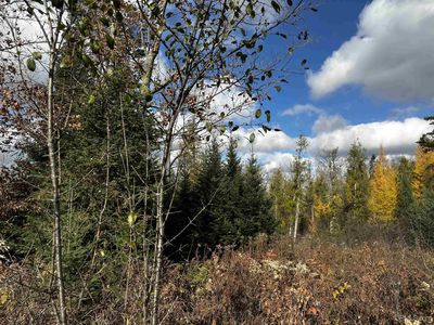 Harry Peterson Rd, Foster City, MI, 49834
