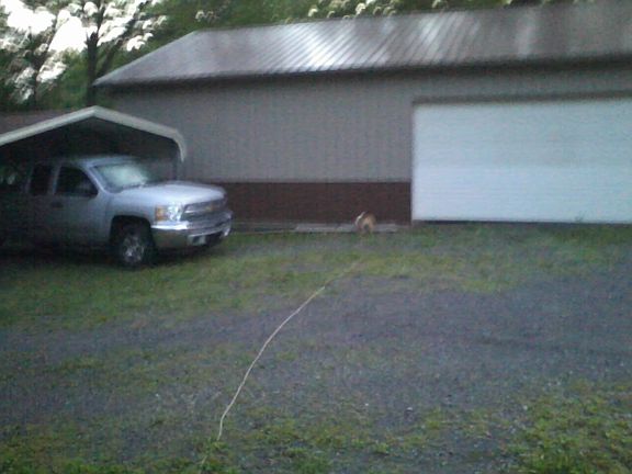 2nd image of 265 John Able Dr