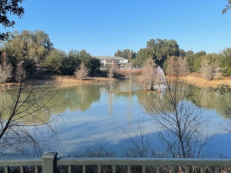 Arbor Landing at Lake Jackson — Photo 10