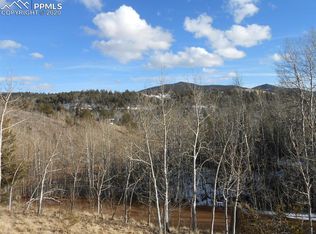 137 No Name Ln, Cripple Creek, CO 80813