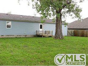 Large back yard