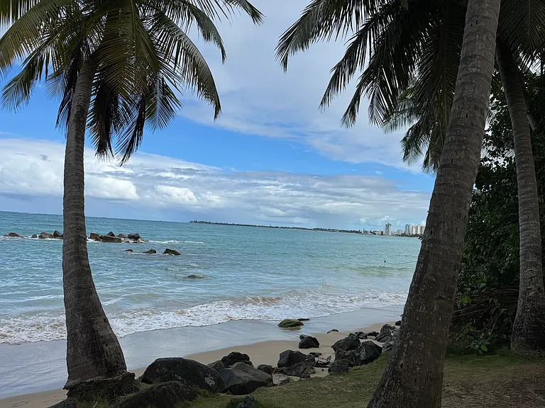 3001 Plaza Del Mar Cond Isla Verde Ave #1006 — Photo 50