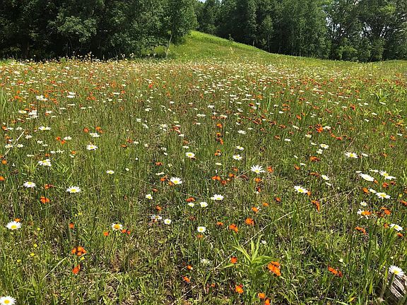 3rd image of Dixon Line Rd