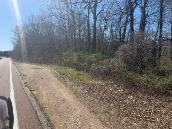 8 Highway 22a, Jacks Creek, TN 38347