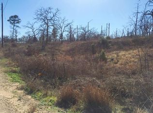 294 O Grady Rd, Smithville, TX 78957